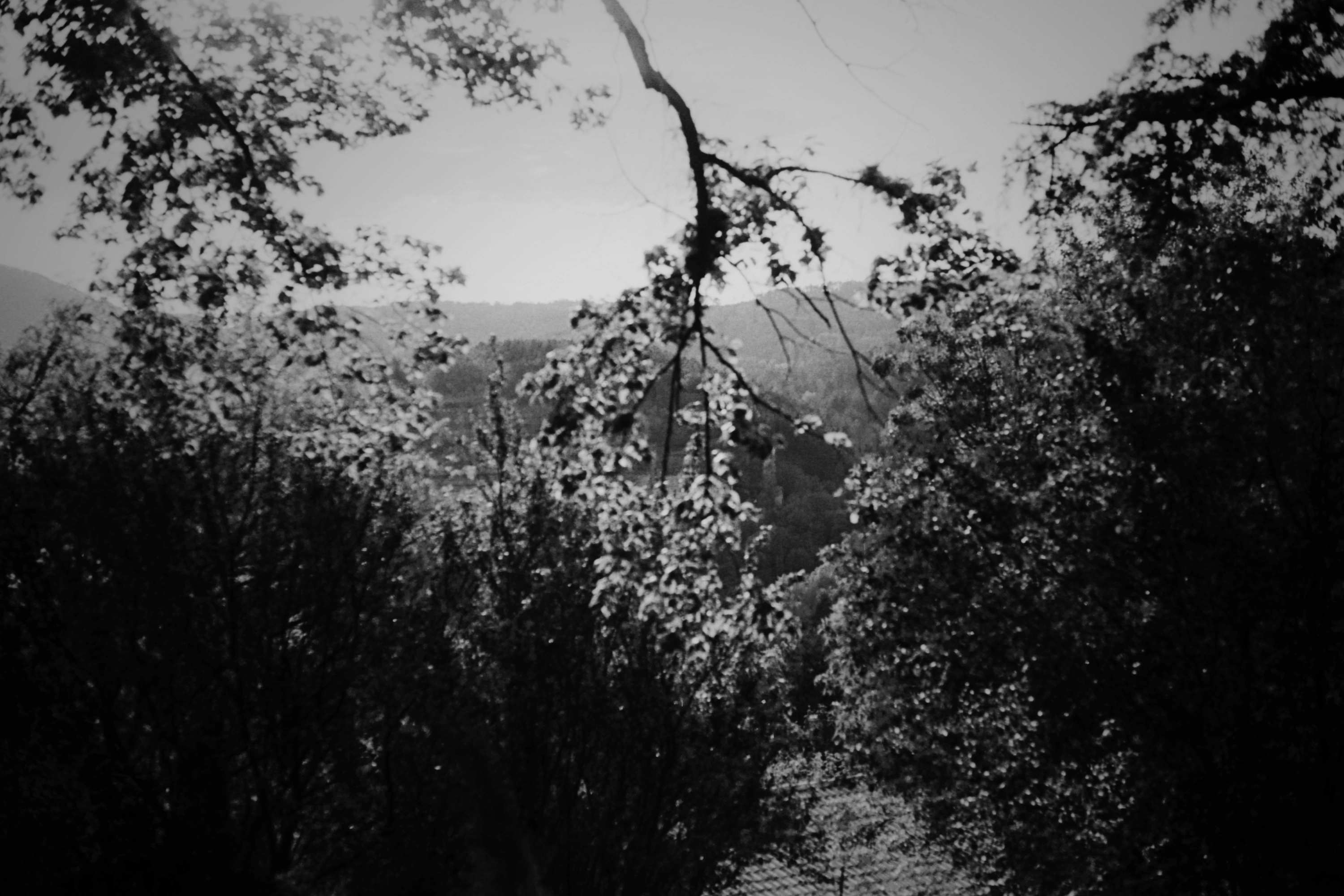 Les choses cach&eacute;es, galerie