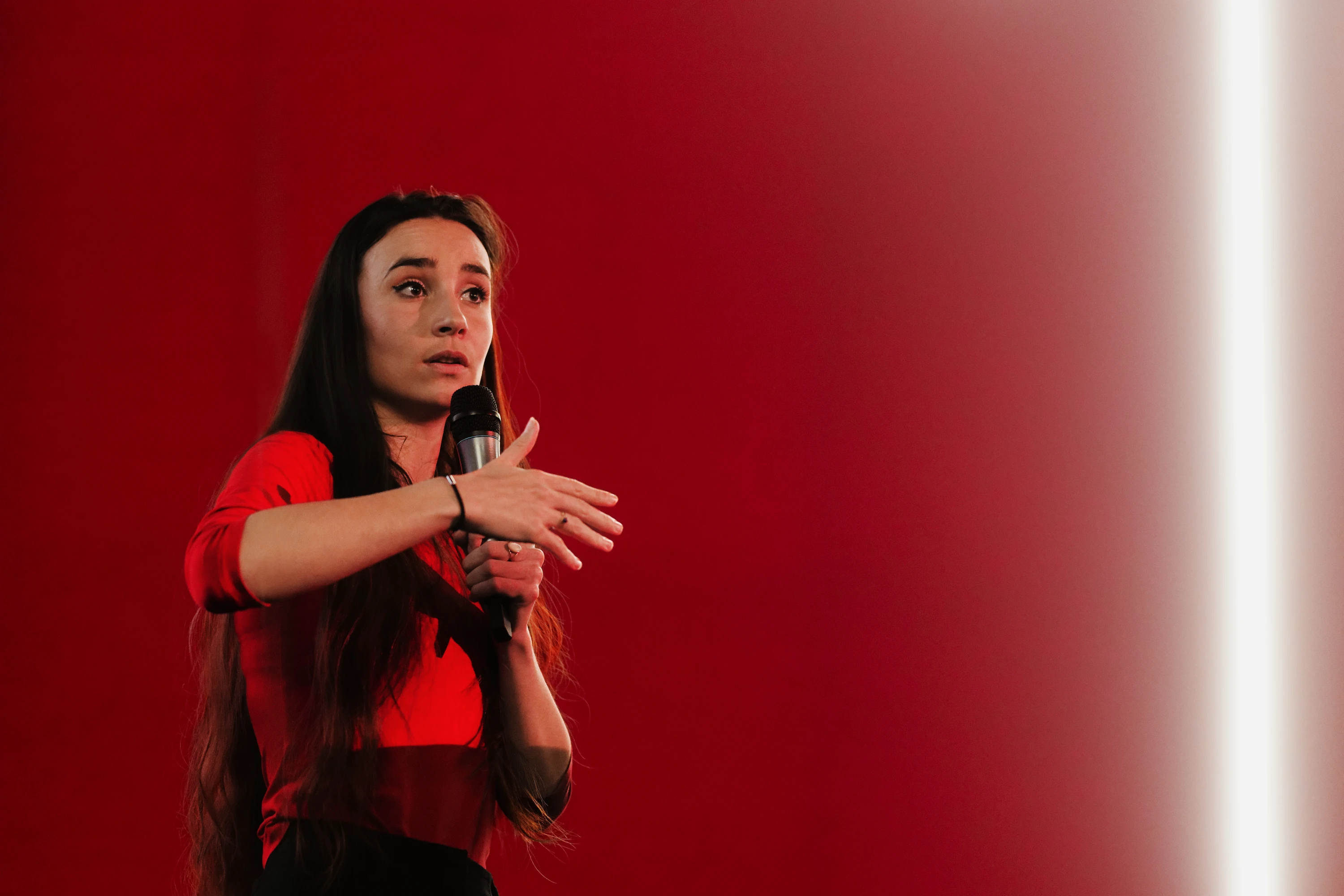 R&eacute;sister, galerie